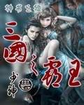 三国之霸王txt下载