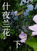 ʲҹ����(��)