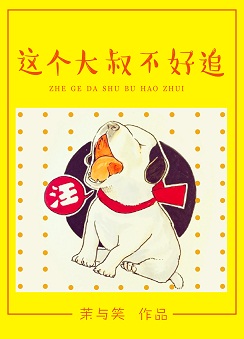 这个大叔不好追txt下载