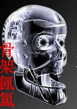 骨架氤氲txt下载