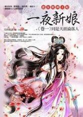 从女奴到王后:一夜新娘