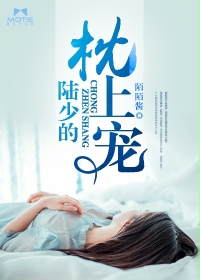 陆少的枕上宠 作者:陌陌酱 文案txt下载