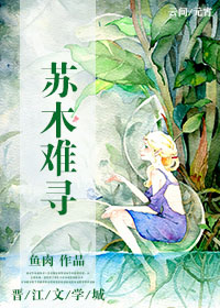 苏木难寻txt下载