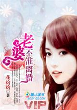 宝贝,我认栽:老婆,不准离婚!