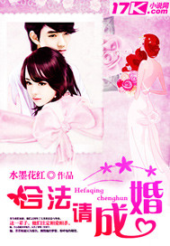 合法请成婚txt下载