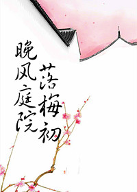 晚风庭院落梅初txt下载