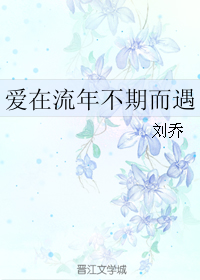 爱在流年不期而遇txt下载