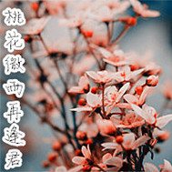 �һ�΢���ٷ��