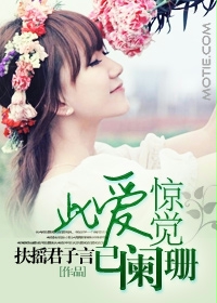 此爱惊觉已阑珊txt下载