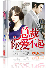 总裁你爱不起