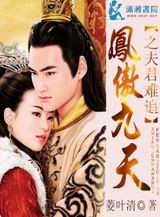 凤傲九天之夫君难追