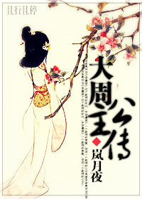 大周公主传