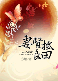 妻贤抵良田txt下载