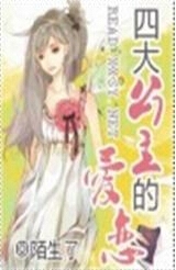 四大公主的爱恋