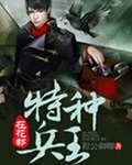 特种兵王在花都