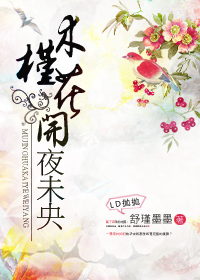 木槿花开夜未央