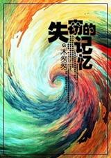 失窃的记忆txt下载