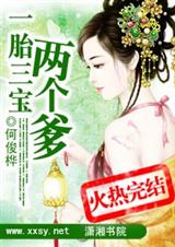 一胎三宝两个爹 完