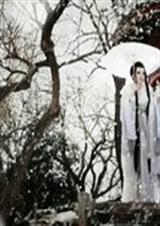 忆景之年妖王妃