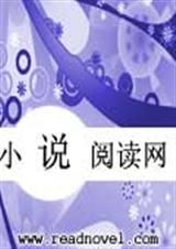 通缉令之总裁后会无妻