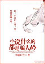 小说什么的都是骗人的txt下载