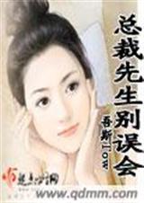 总裁先生别误会txt下载