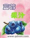 蓝莓果汁txt下载