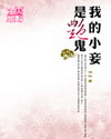 我的小妾是艳鬼