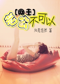网王老公不可以