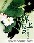 锦上花浓(起点V文)txt下载