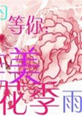 只为等你:唯美花季雨