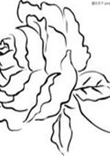 渣女重生:玫瑰之爱