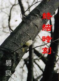 终结时刻--美利坚恩仇记