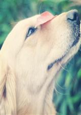 让我留在你身边