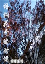 梧桐花开的时候