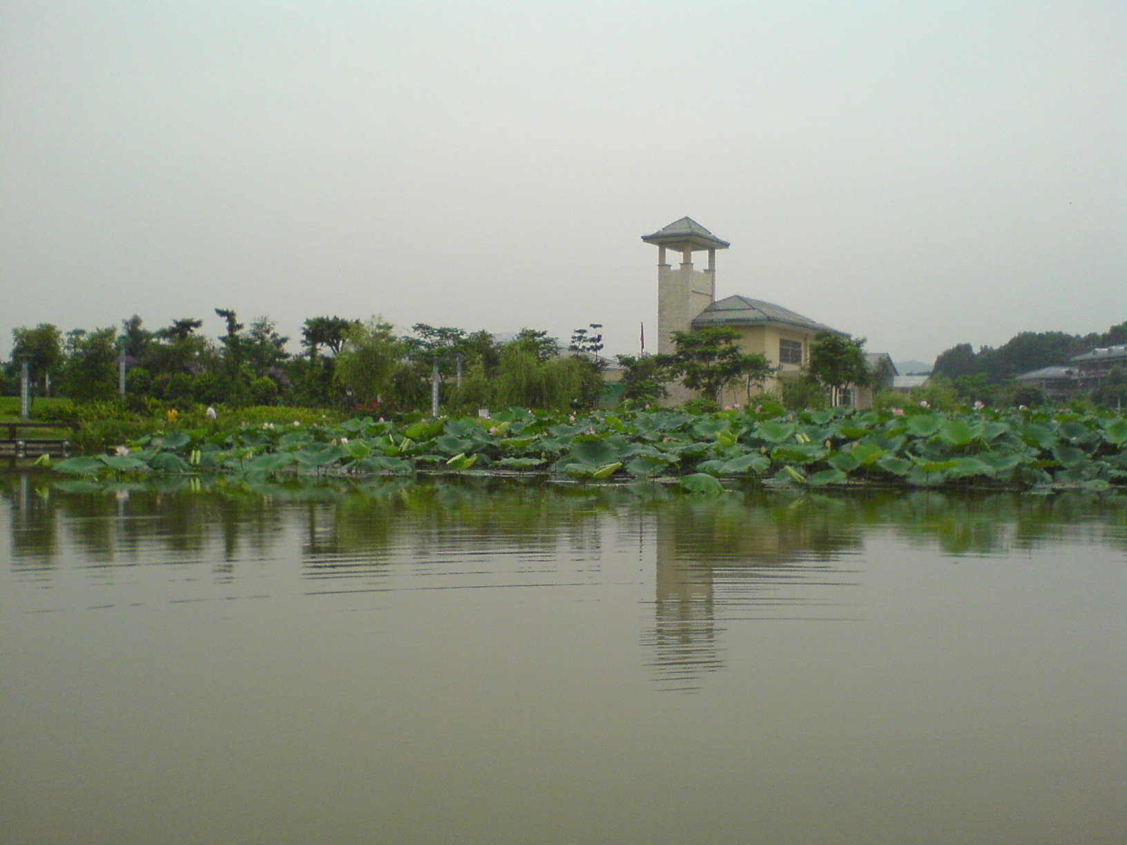 �Դ����txt����