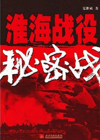 淮海战役秘密战txt下载