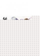 ����֮��