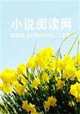 青春小鸟不回来txt下载