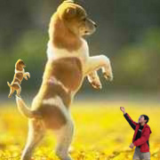 土狗道道冒险系列txt下载