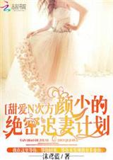 甜爱n次方:颜少的绝密追妻计划