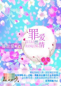 罪爱燃情txt下载