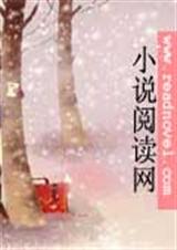 总裁停我是大灰狼