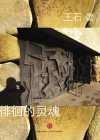 徘徊的灵魂txt下载