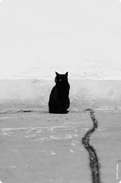 楠楠的雕刻时光