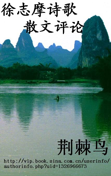 徐志摩诗歌散文评论txt下载