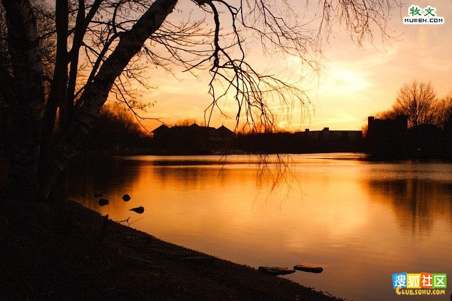 玫瑰啼痕,扇底烟花