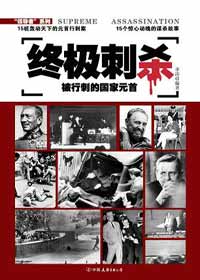 终极刺杀txt下载