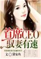 首席CEO,驭妻有速