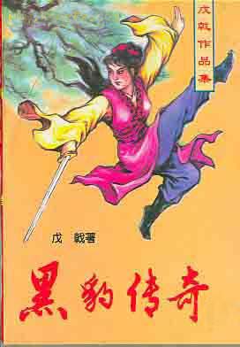 黑豹传奇 武侠小说